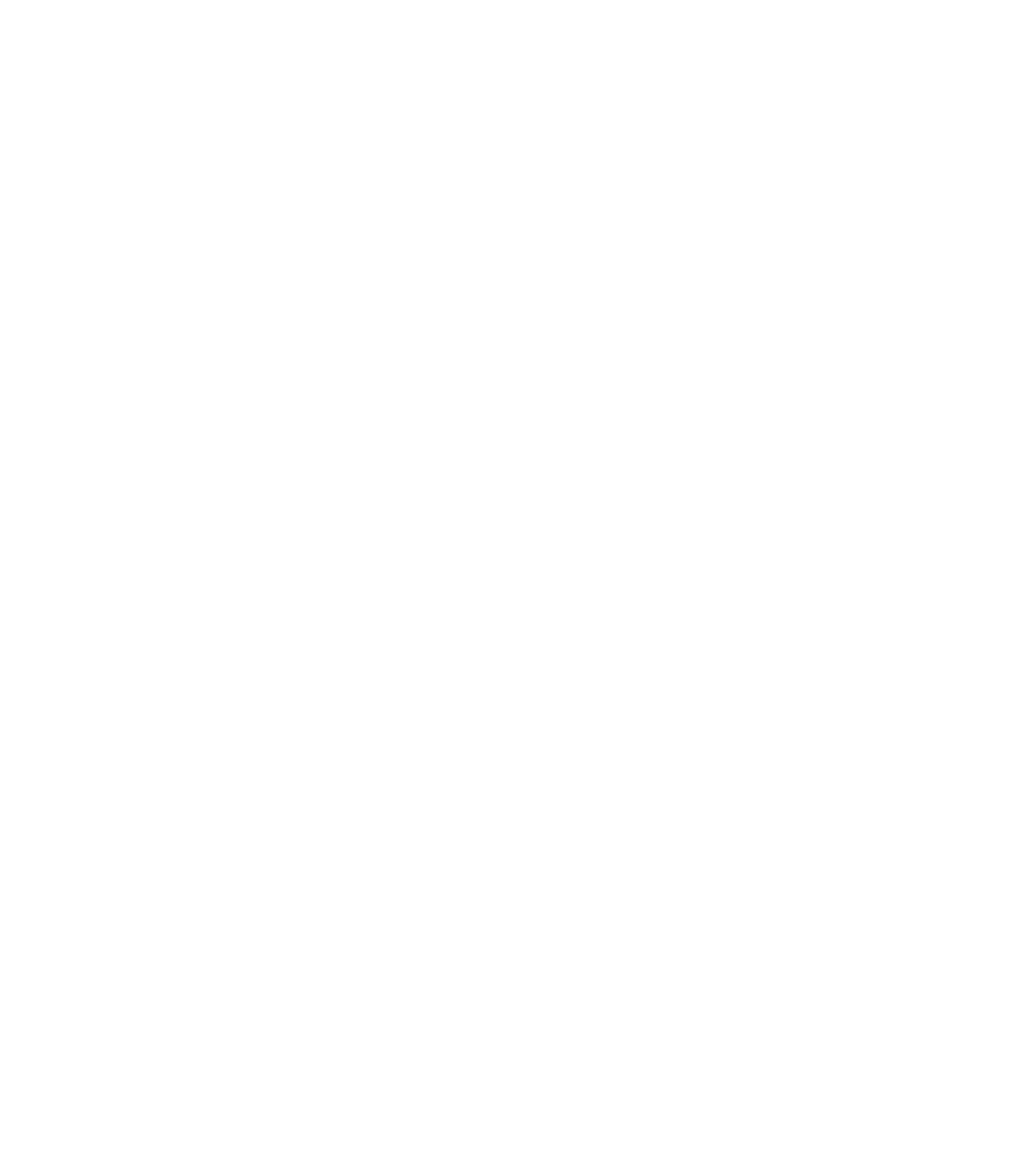 LOGO INTENTIONAL 2