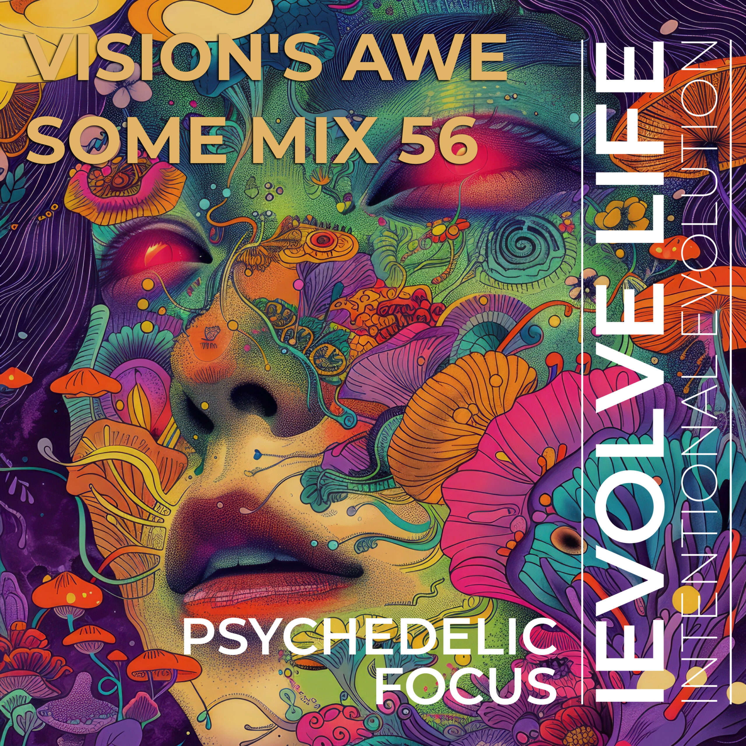 VAM56-PsychedelicFocus-CDArt